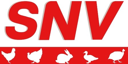 S N V