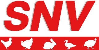 SNV