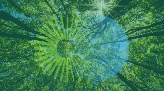 Climate policies that deliver: IFCMA insights into policy diversity and design