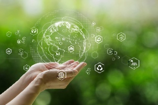 Advancing an environmentally sustainable digital transformation: Implementing the OECD Recommendation on Digital Technologies and the Environment