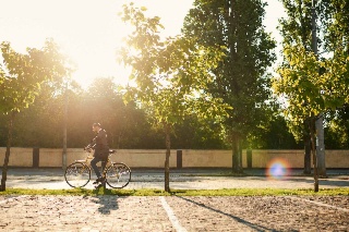 Investing in resilient government operations and services for a sustainable future