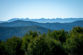 Indigenous economies of the forest: Pathways for stewardship and shared value 