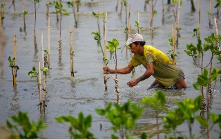 Making adaptation indicators work: From national realities to global assessments of progress