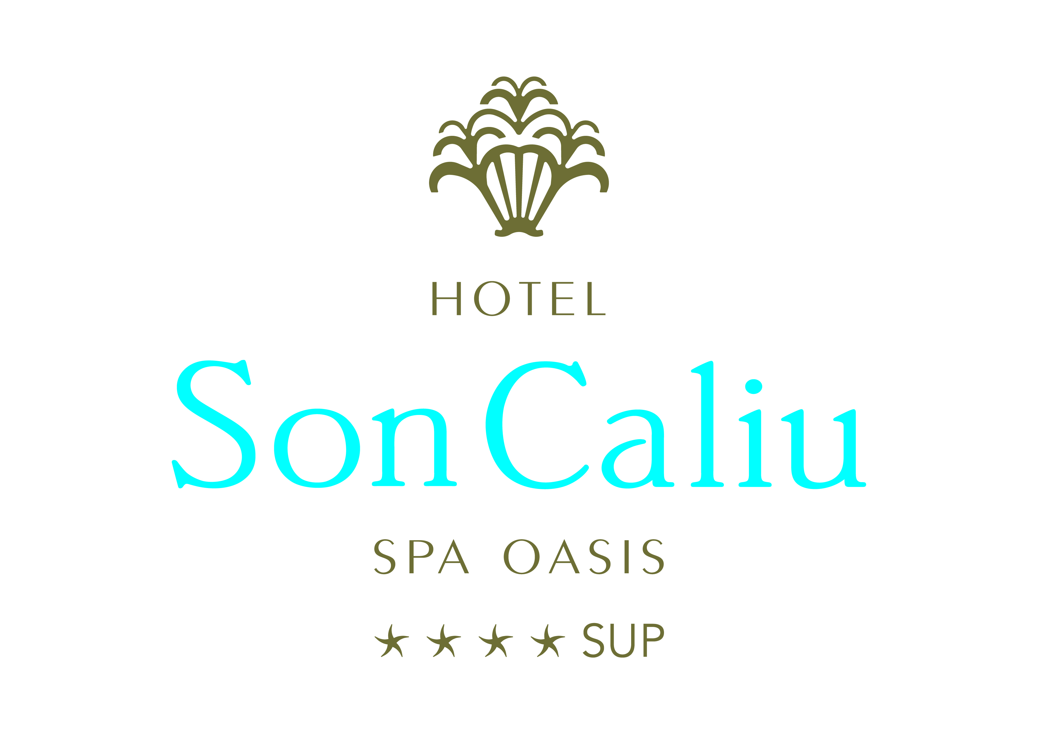Hotel Son Caliu Spa Oasis * * * * SUP                         