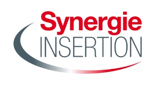Synergie Insertion