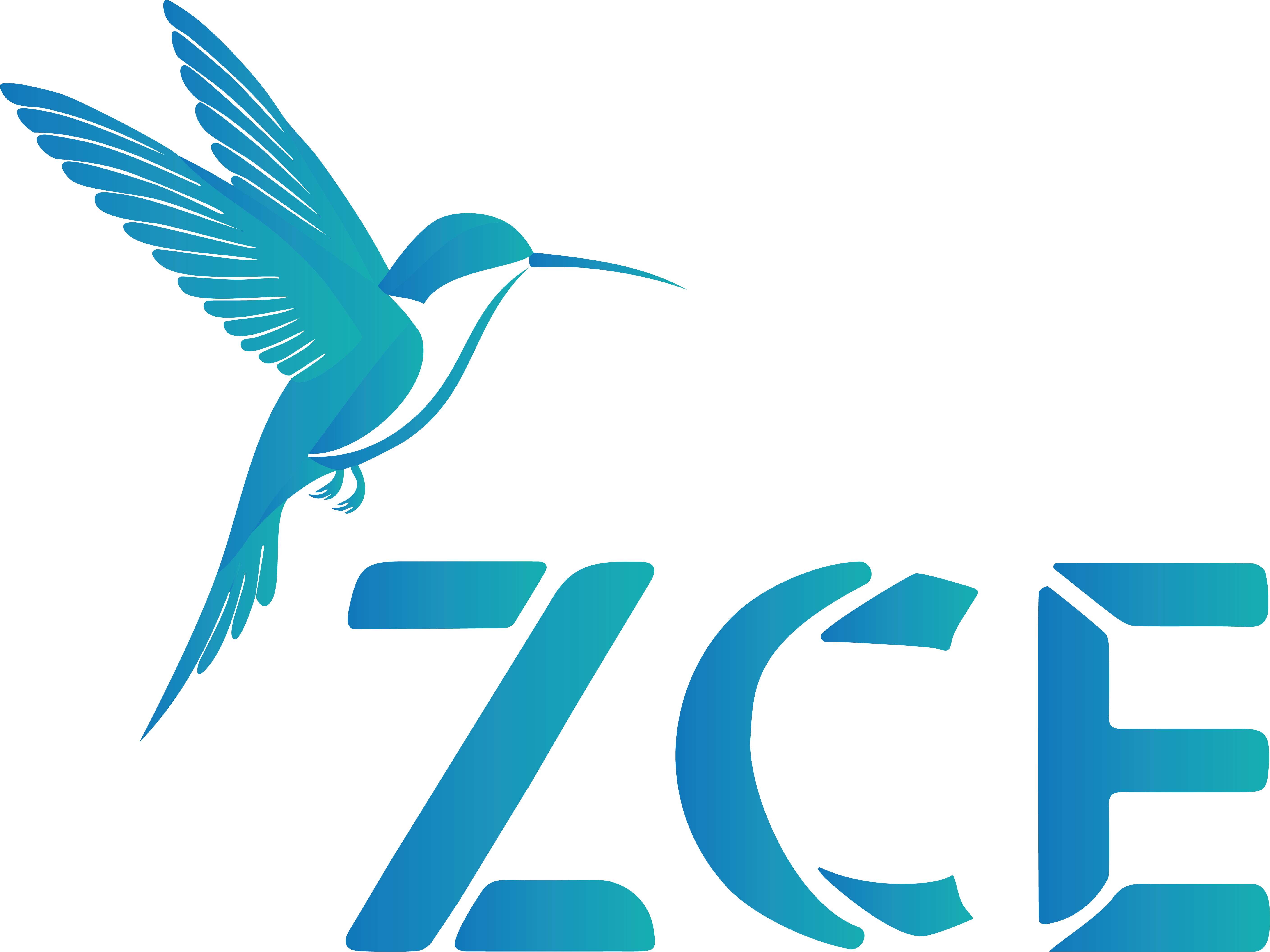 ZCE - ZERO CARBON EMISSION
