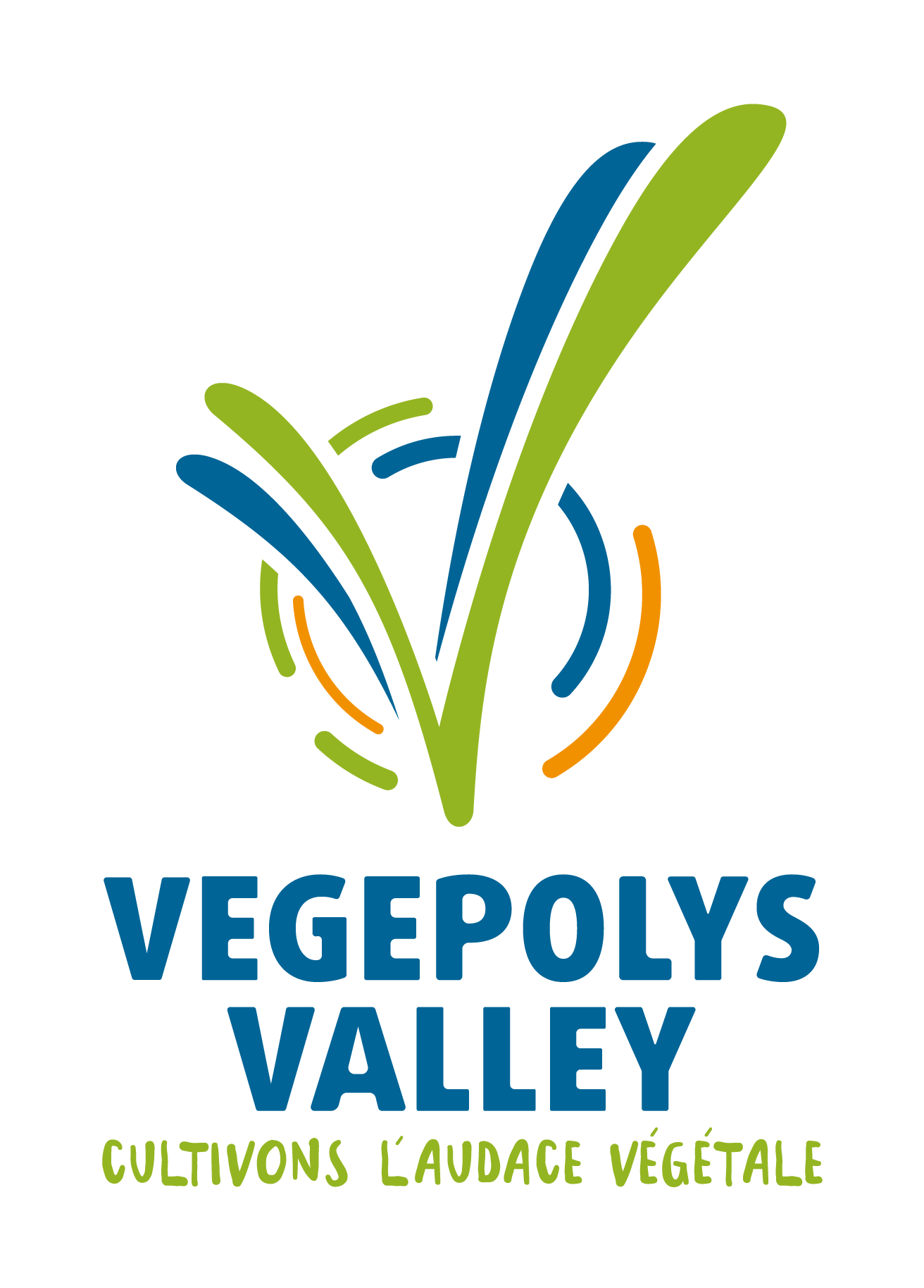VEGEPOLYS VALLEY