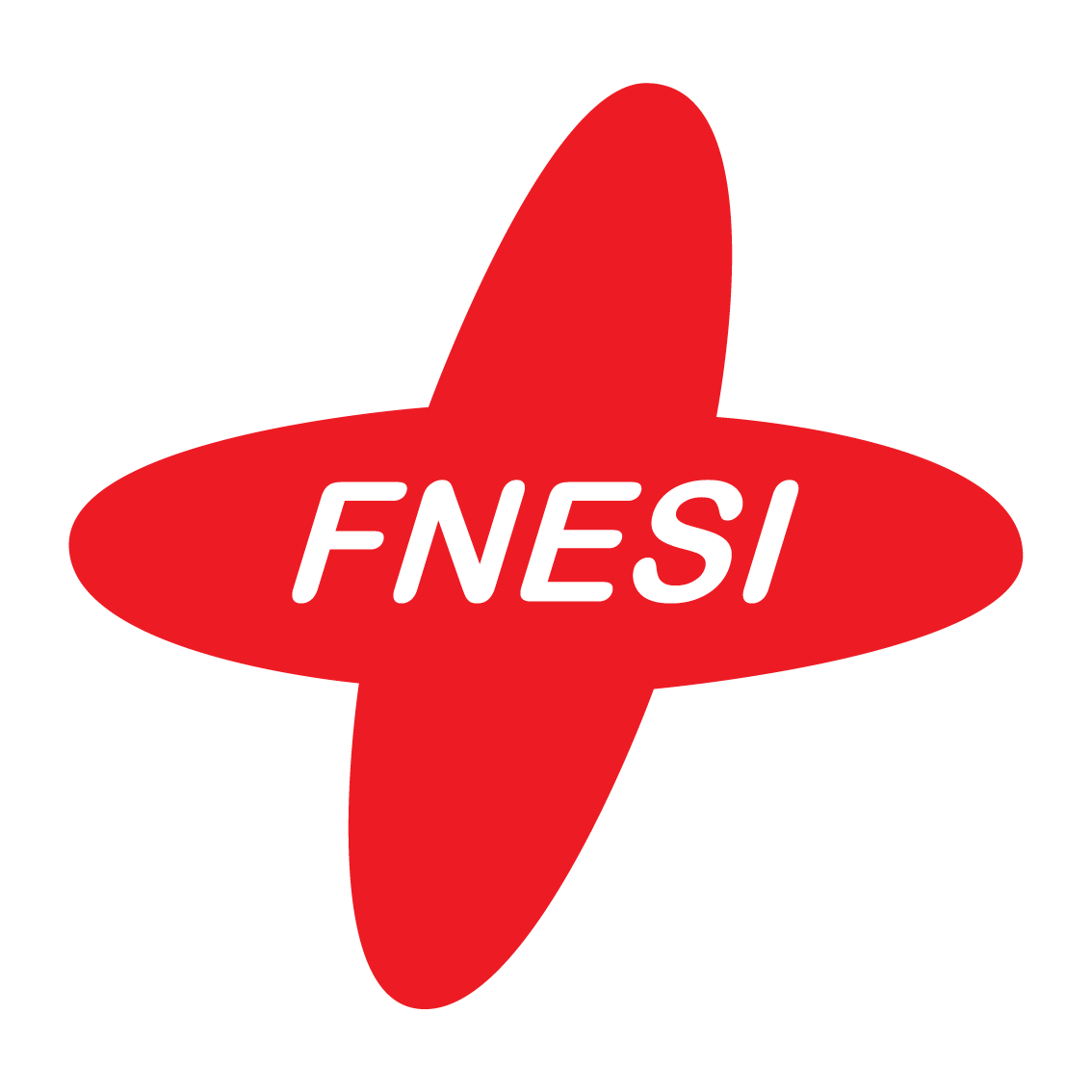 FÉDÉRATION NATIONALE DES ÉTUDIANT.E.S EN SOINS INFIRMIERS