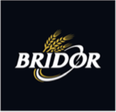 BRIDOR