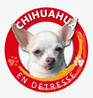 ASSOCIATION CHIHUAHUA EN DÉTRESSE