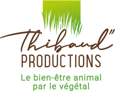 THIBAUD PRODUCTIONS