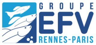 GROUPE EFV