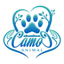 Camoc animal