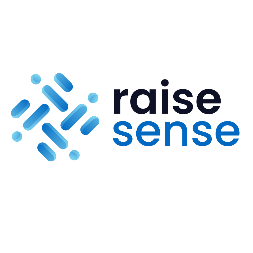 RAISESENSE