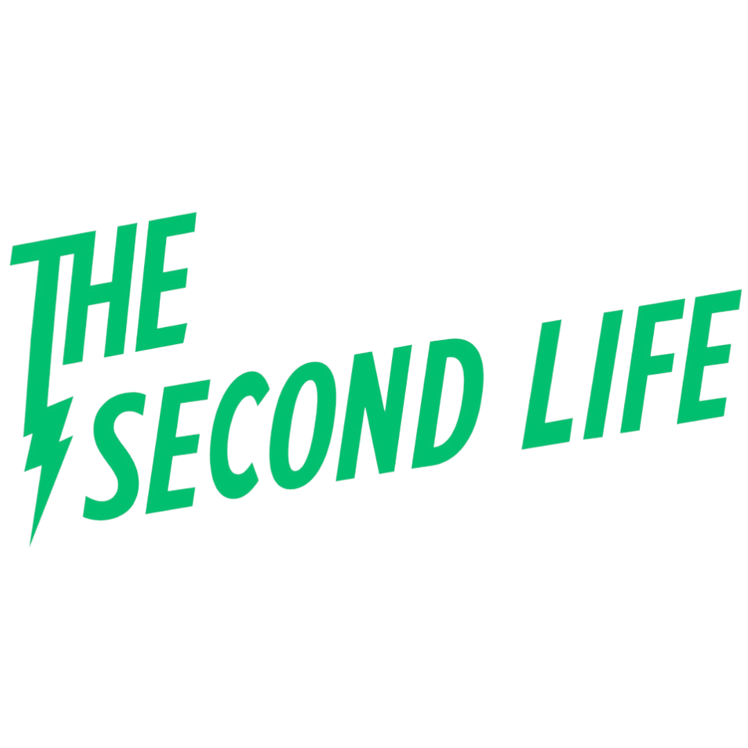 THE SECOND LIFE