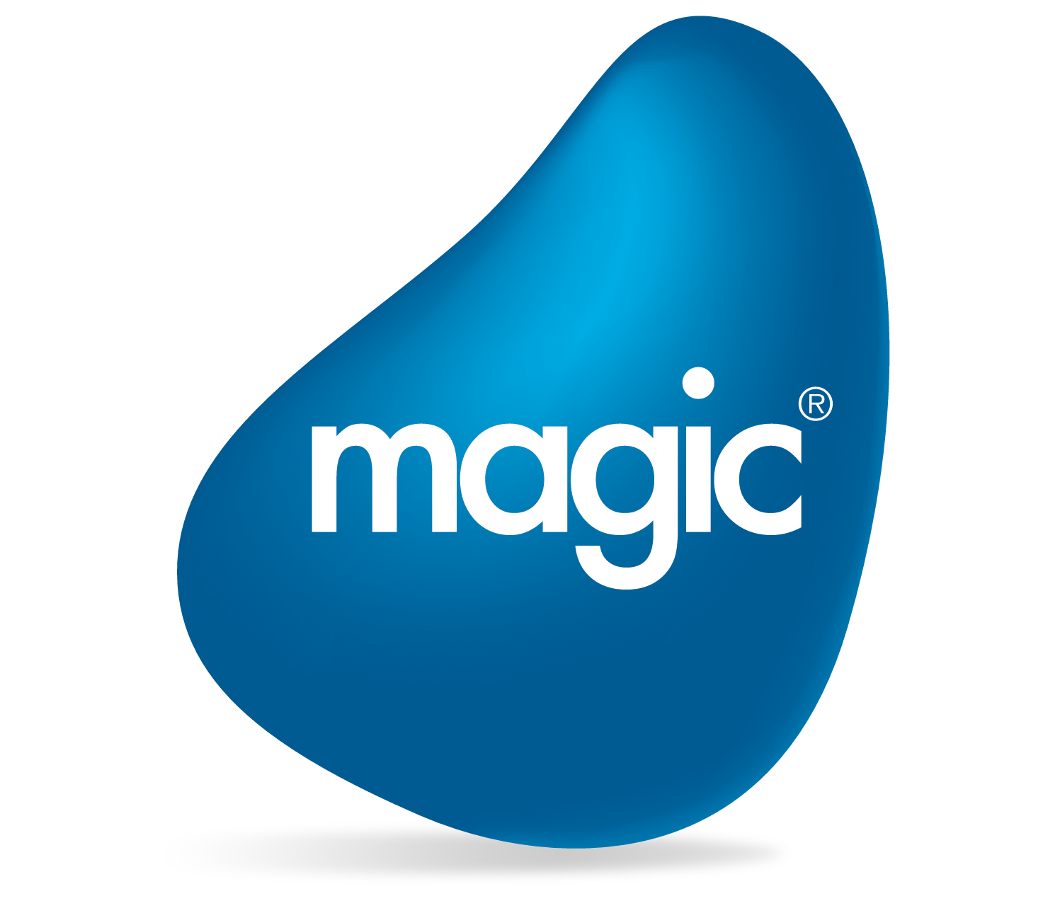 Magic Software Enterprises France SAS