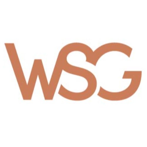 WSG Limited
