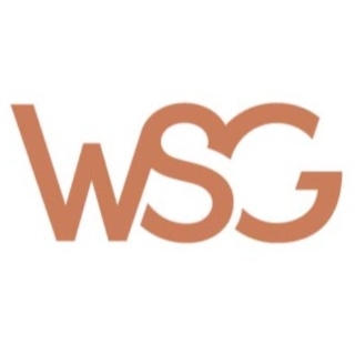 WSG Limited