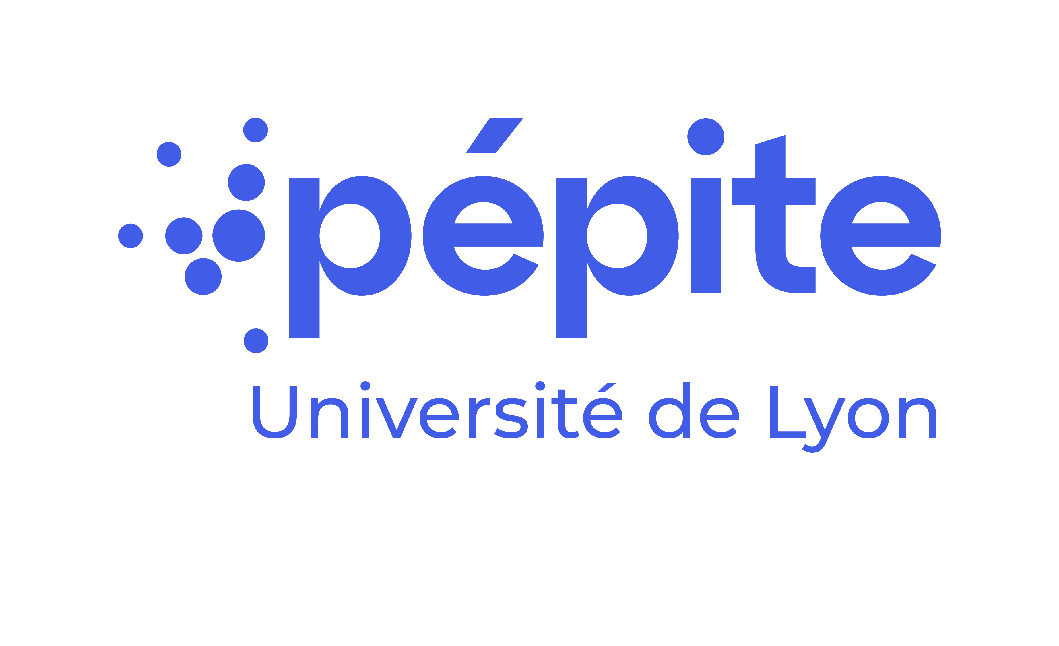Pépite université de Lyon - Lyon métropole