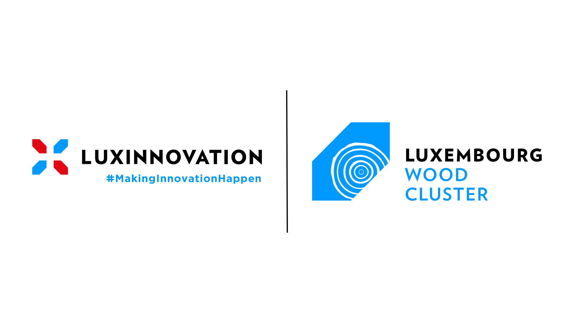 B2B Meet up - Wood Sector | Chaleur renouvelable par l’utilisation en cascade du bois, approvisionement en chaleur à partir de bois résiduel par les communes
