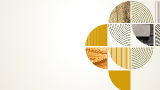 Architectures & Territoire : quand le bois devient un booster économique