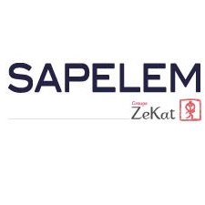 SAPELEM