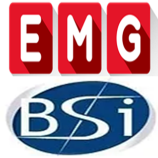 EMG-BSI - GROUPE PHILTECH