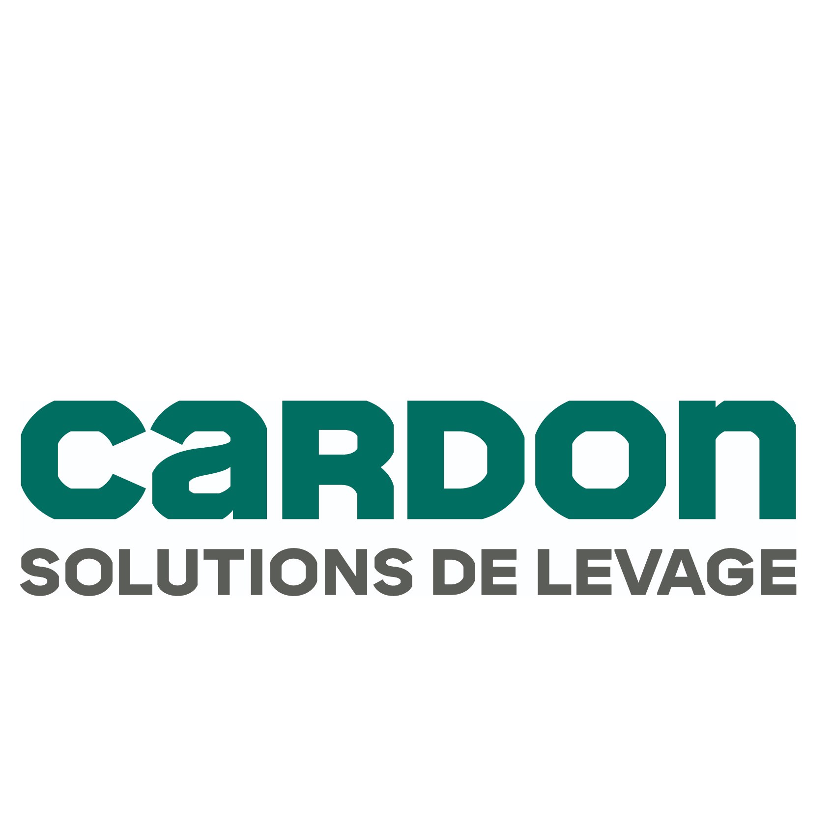 CARDON SOLUTIONS DE LEVAGE