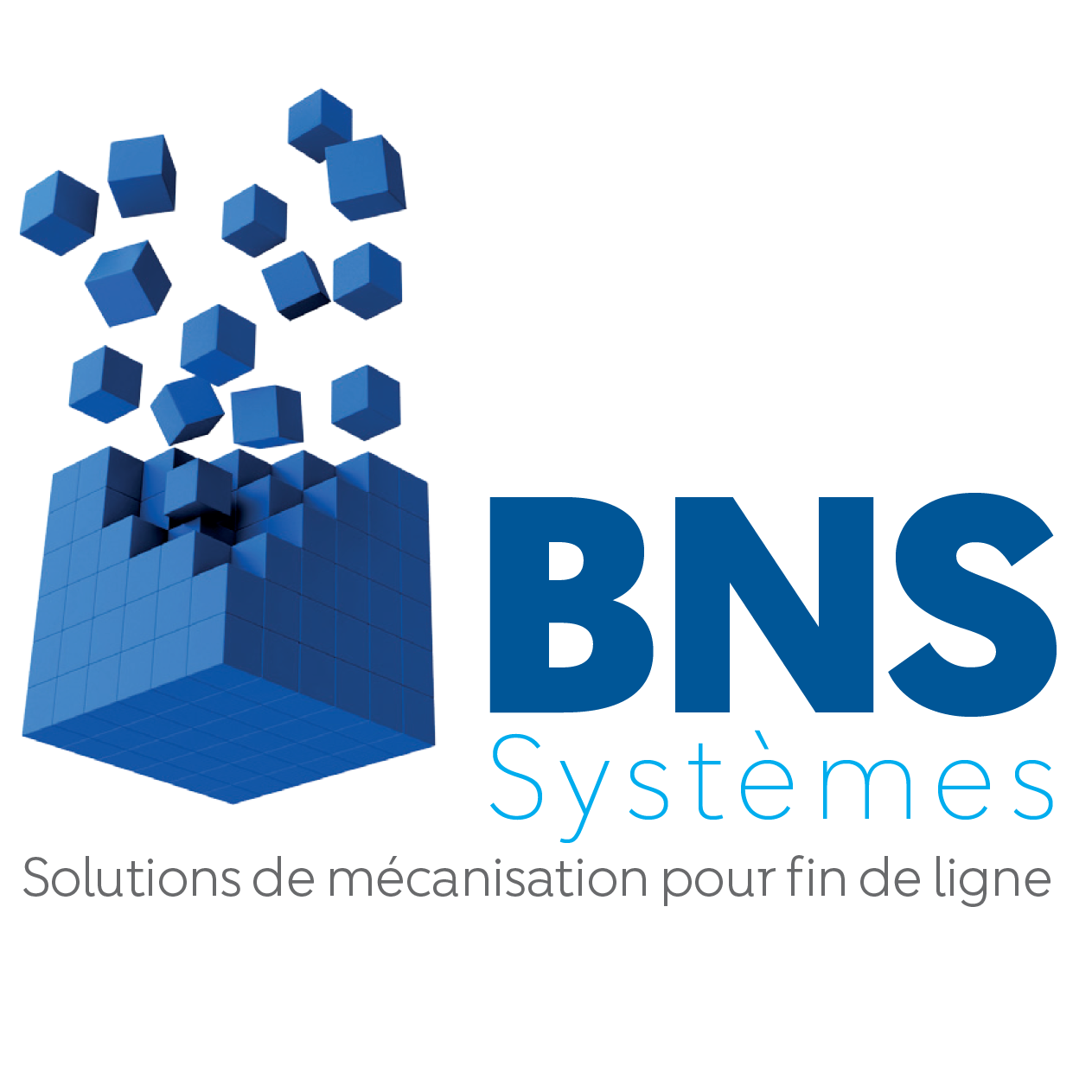 BNS SYSTEMES SAS