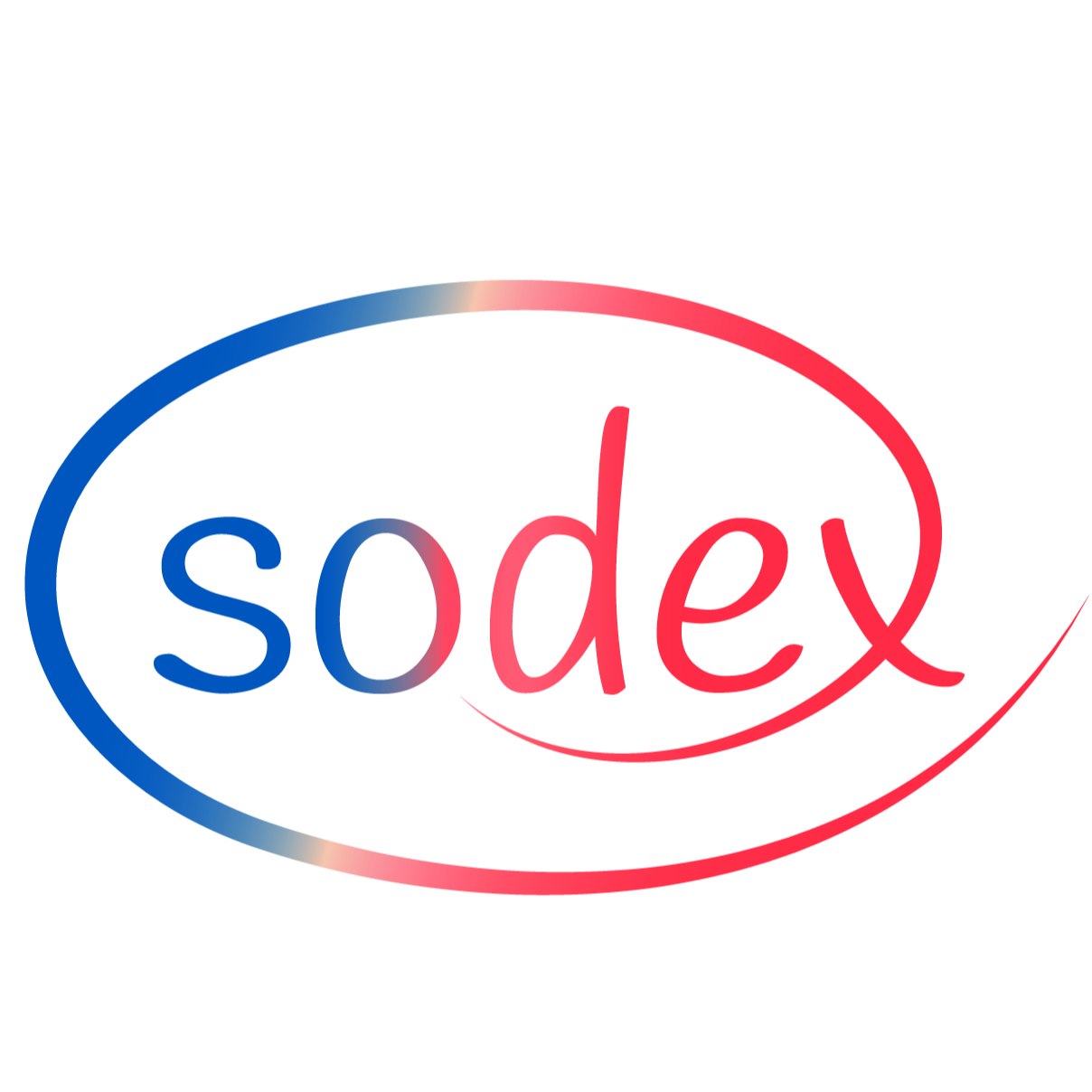 SODEX INDUSTRIE ENERGIE