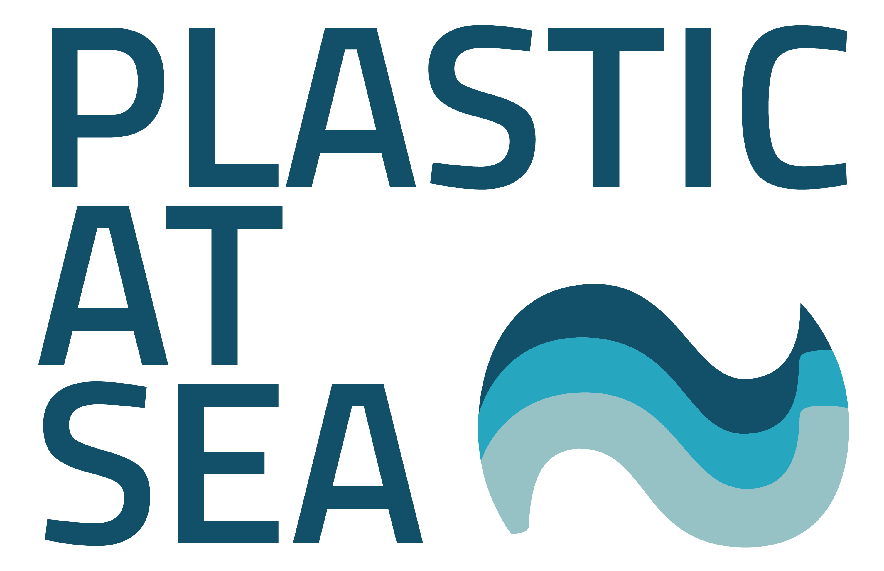 Plastic At Sea