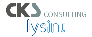 CKS Consulting | Lysint