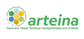 ARTEINA