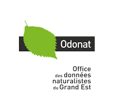 ODONAT