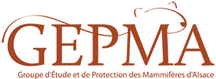 GEPMA 
