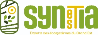 Collectif SYNESTIA