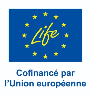 Union européenne