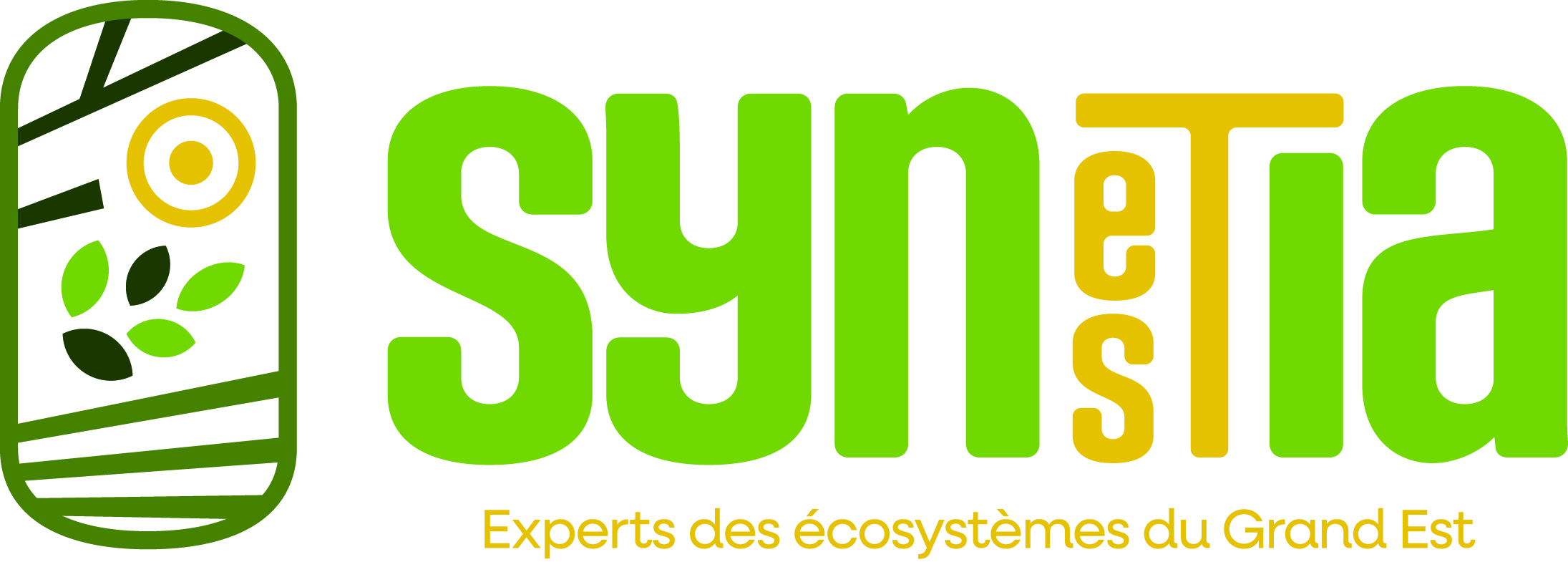 Collectif SYNESTIA