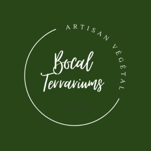 BOCAL TERRARIUM