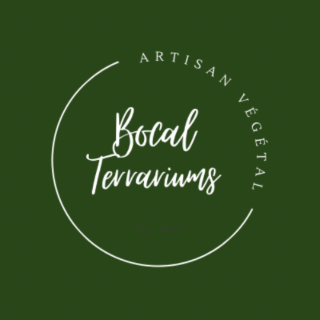 BOCAL TERRARIUM
