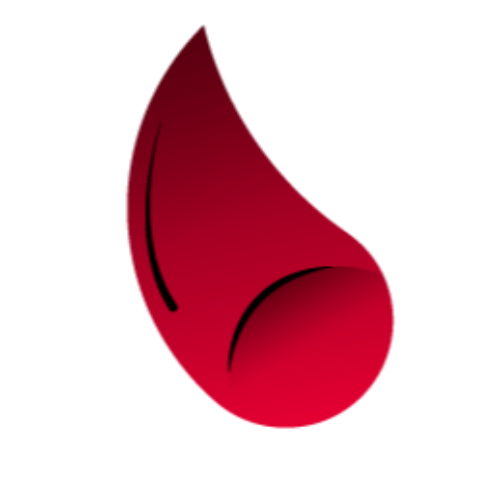 DIGITAL POURPRE STUDIO