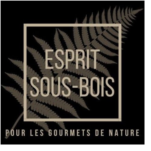 ESPRIT SOUS-BOIS