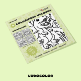 LUDOCOLOR