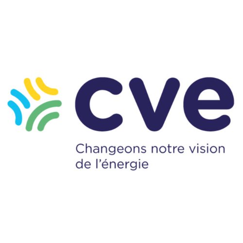 CVE