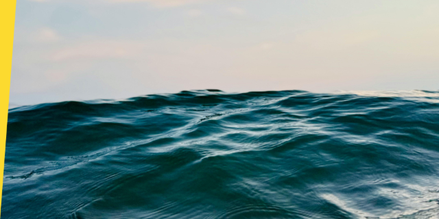 Panorama des projets EMR en France