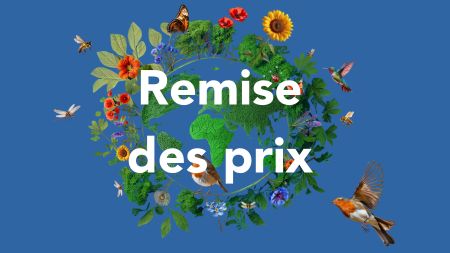 Remise des prix des concours
