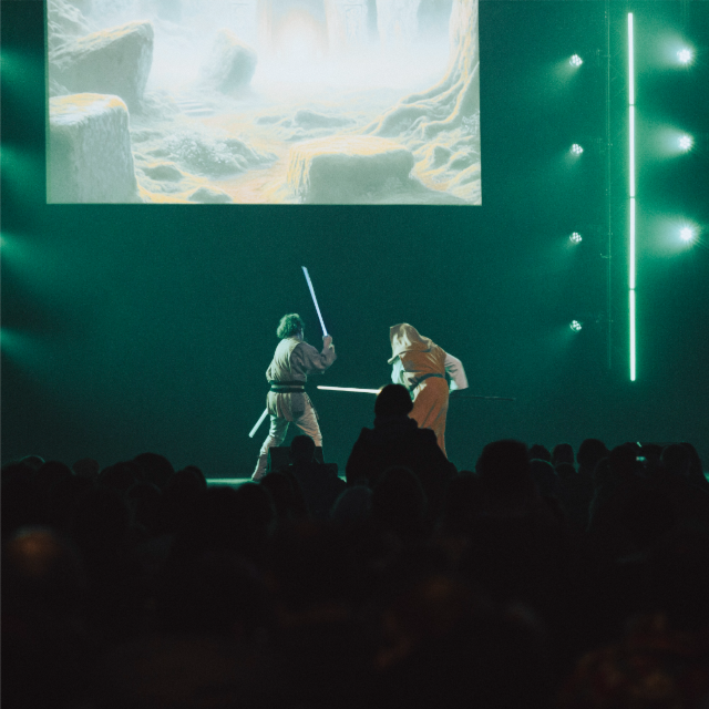 Spectacle : démonstration de sabre laser