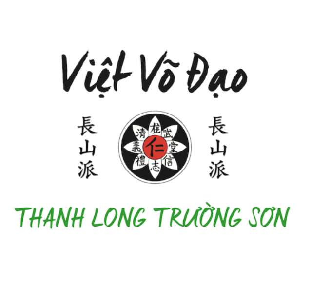 Démonstration Viet Vo dao