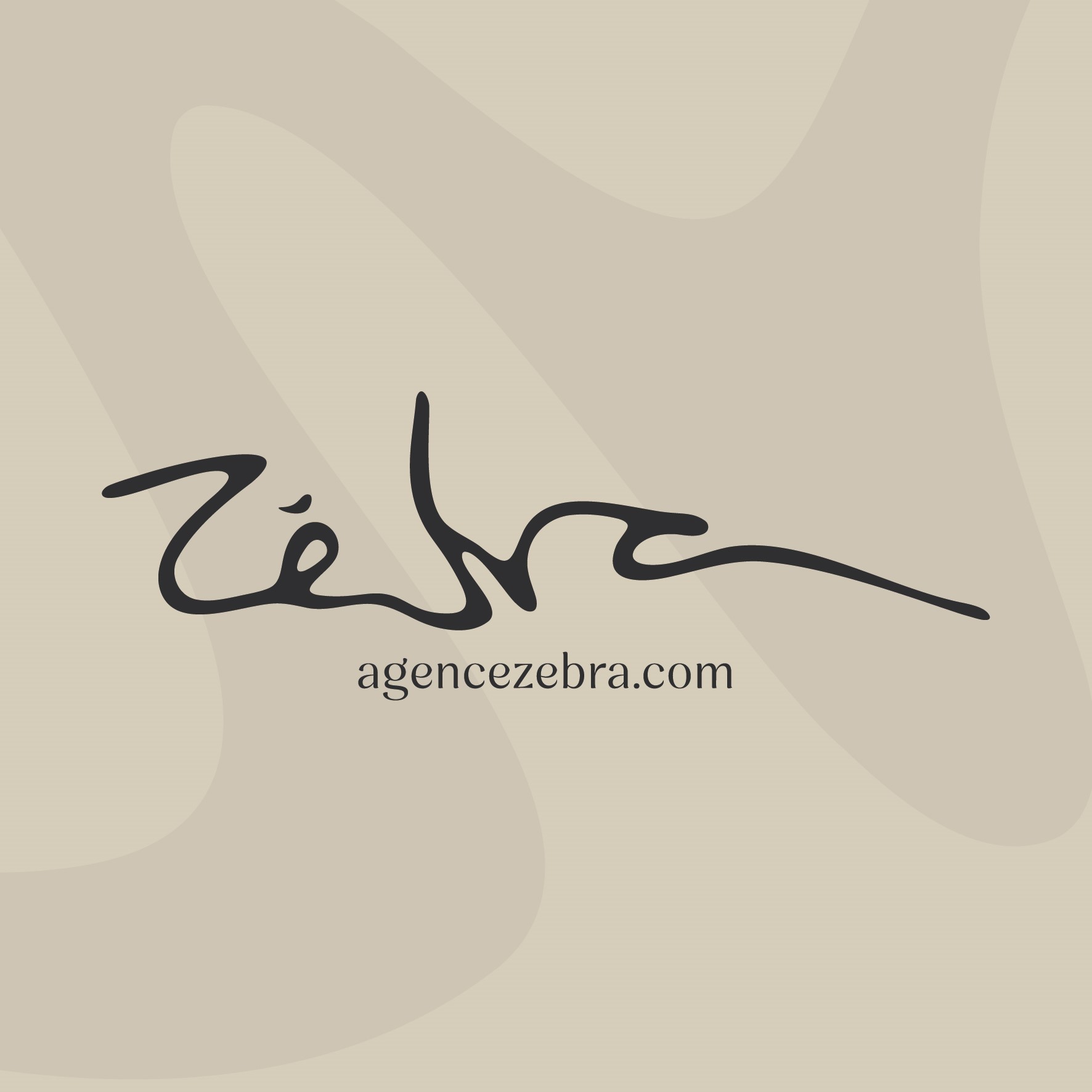 Agence Zebra Communication