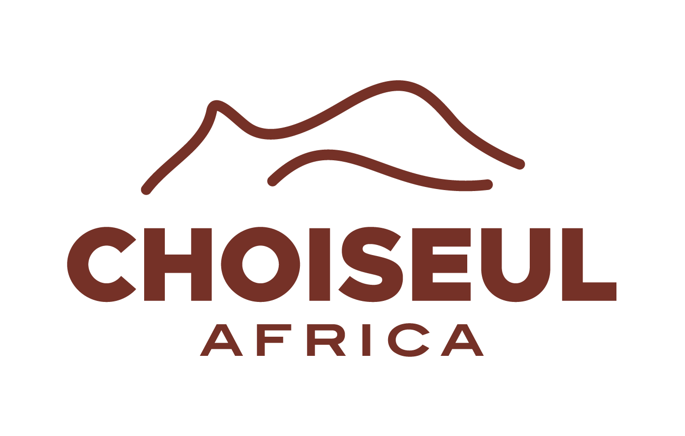 Choiseul Africa Summit à Cotonou